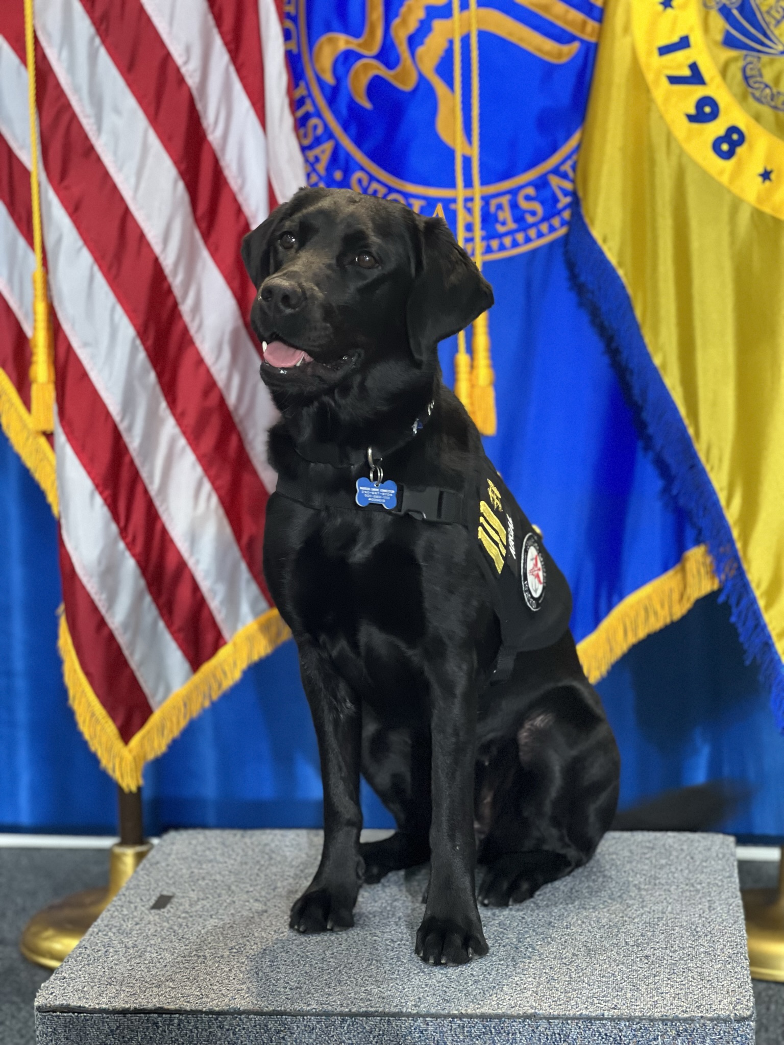 Lieutenant Commander Abigail