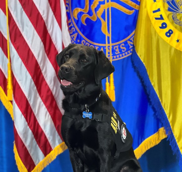 About Us Commissioned Corps Of The U S Public Health Service about-us-commissioned-corps-of-the-u-s-public-health-service